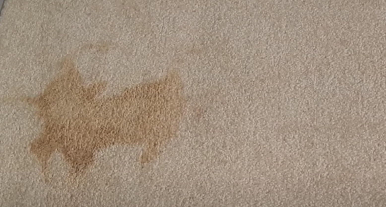 How To Remove Coffee Stain On Carpet Actually Works