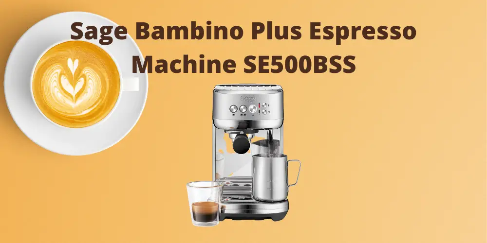Sage Bambino Plus Espresso Machine SE500BSS Review