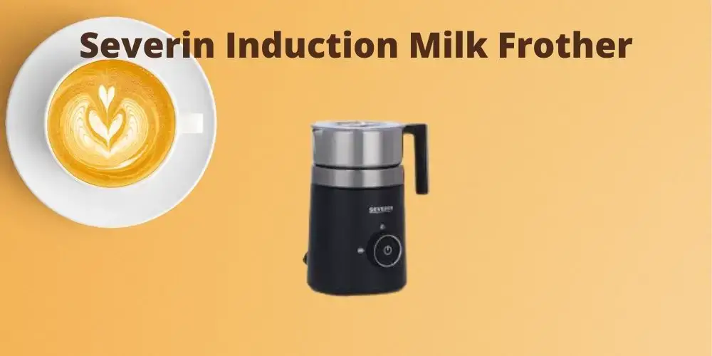 Severin SM 3582 Induction Milk Frother, Brushed Stainless Steel, Black:  : Home & Kitchen