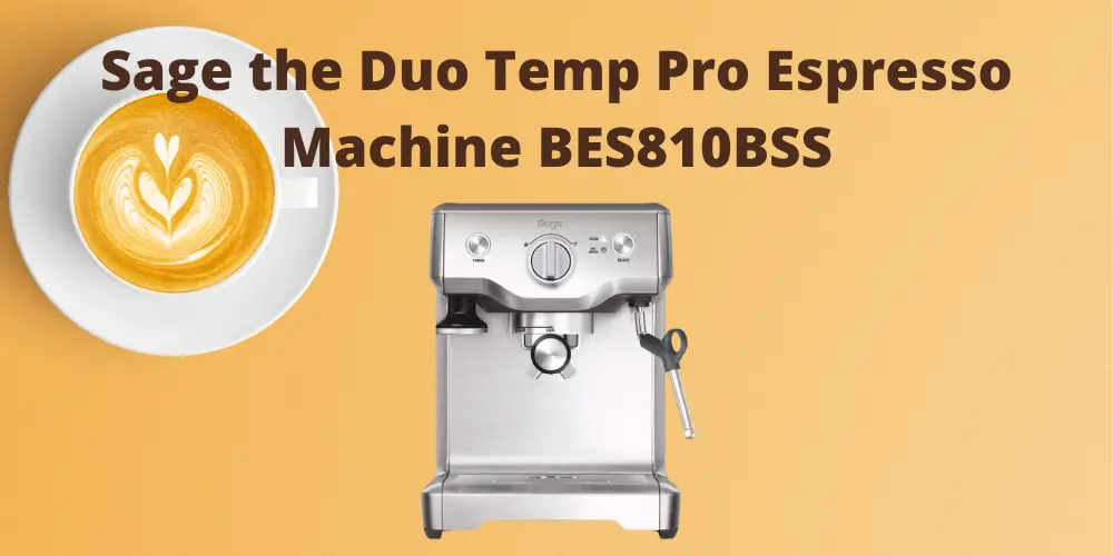 Sage the Duo Temp Pro Espresso Machine BES810BSS Review