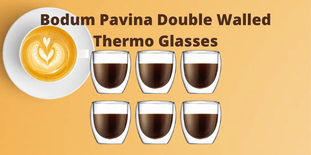 Bodum Pavina Double Walled Thermo Glasses Review