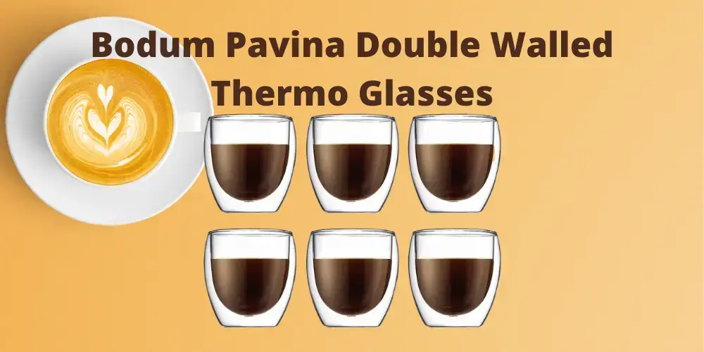 Bodum Pavina Double Walled Glasses Review – Boy 'n' Bean